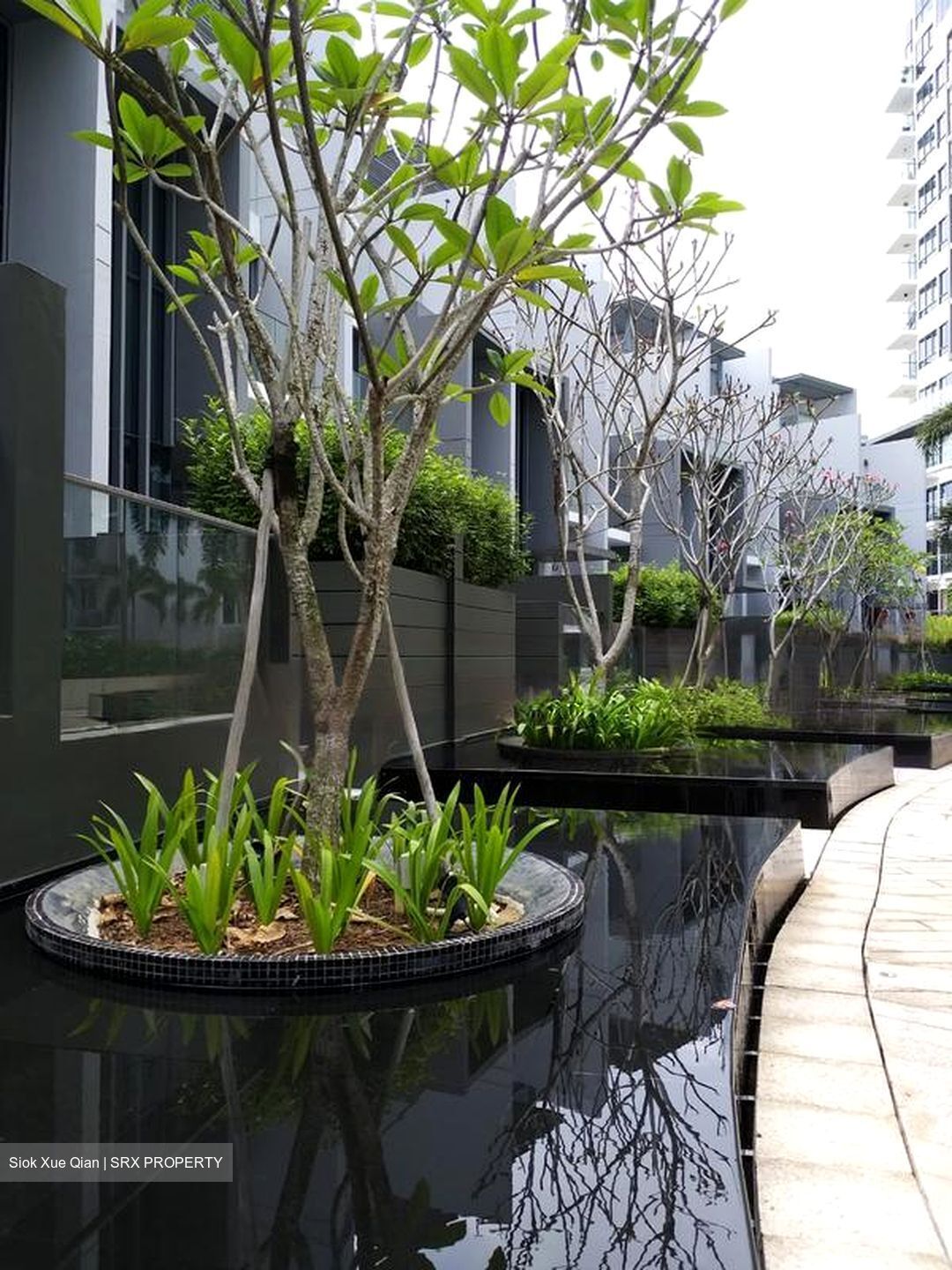Skies Miltonia (D27), Condominium #472905981